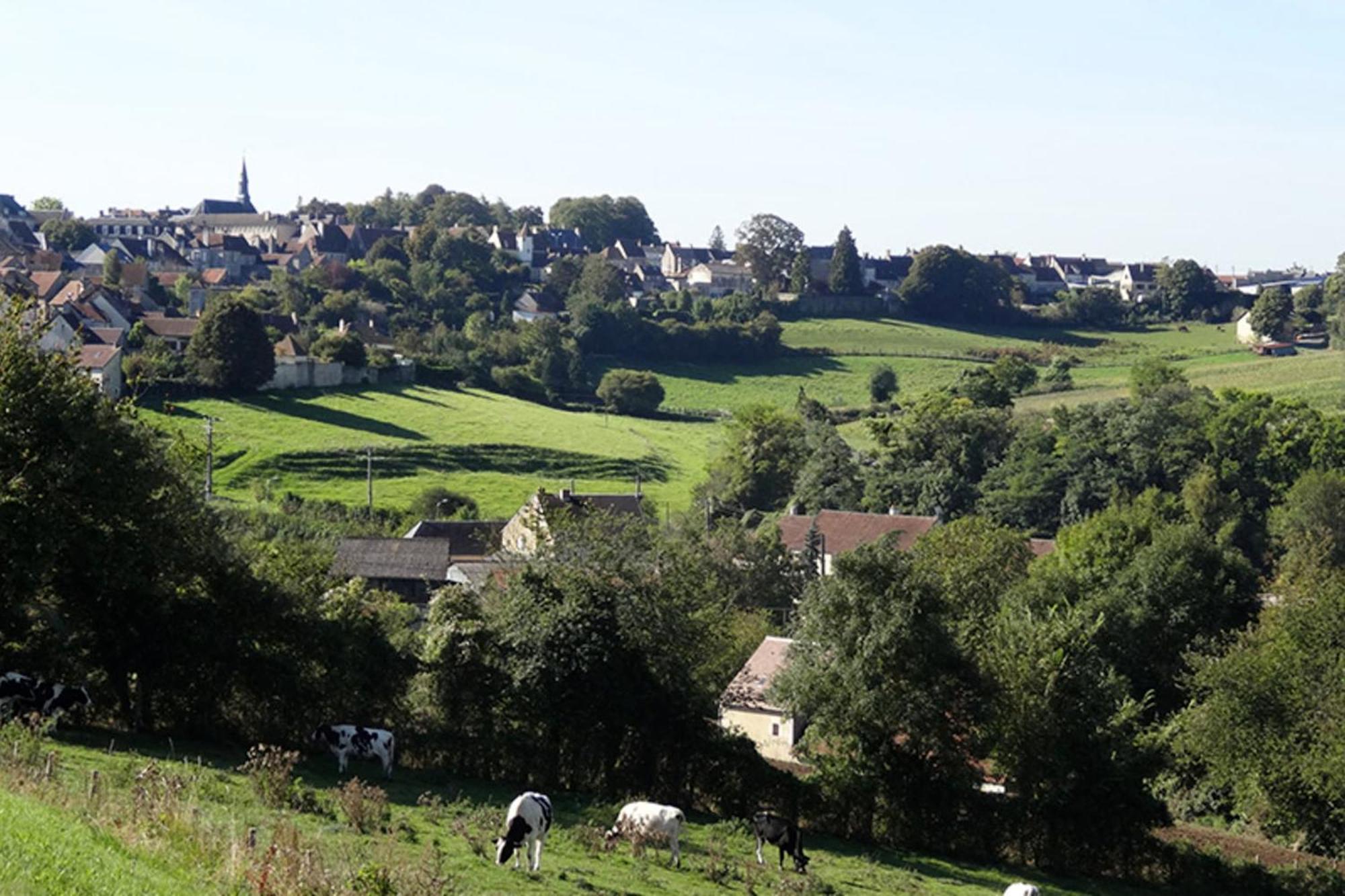 Appartement Le Souffle De L'Orge Mortagne-au-Perche Kültér fotó